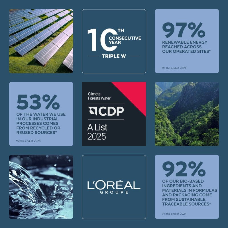 CDP 2025