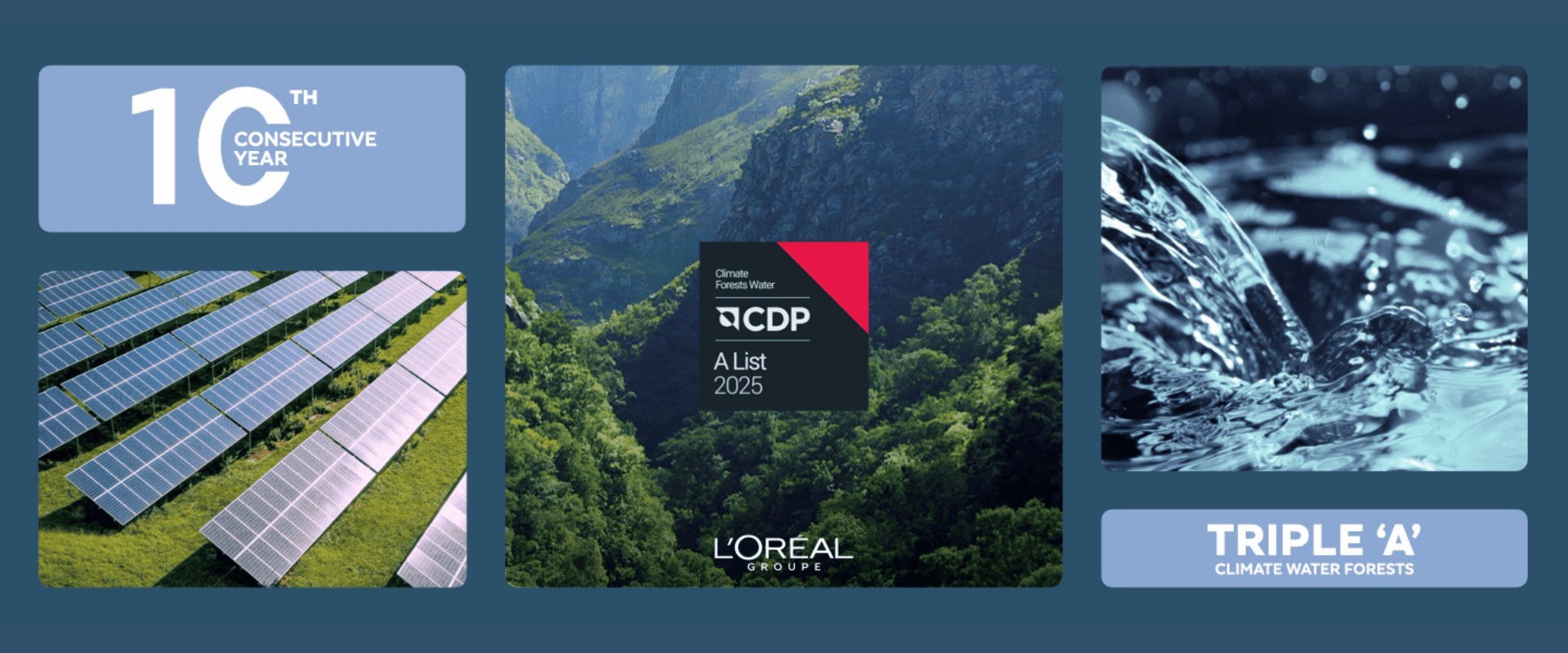 2025 CDP A List Hero Banner