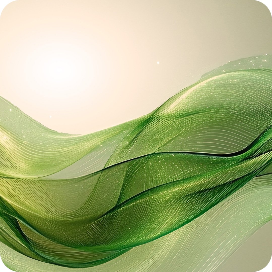 2025Acceleratorsquare