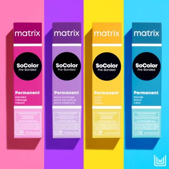 Matrix - L'Oréal Group Professionnal Product Division Matrix - L'Oréal Group Professionnal Product Division