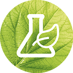 Garnier Icon 2