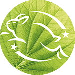 Garnier Icon 5