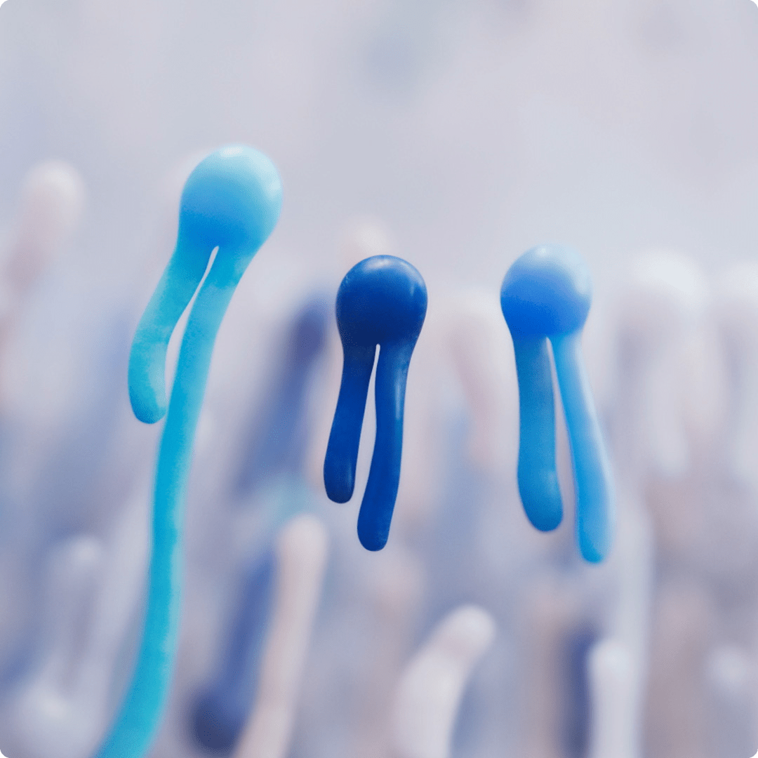 2025 Cerave luxe brand ceramides blue