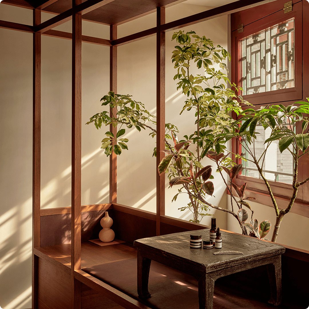 2026 luxe division brand aesop products on a table with a plant visual