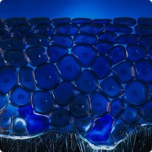 2025biothermbrandluxeskincells