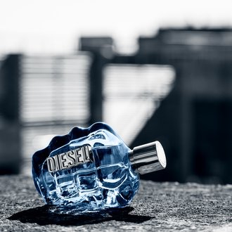 Diesel L Oreal Group L Oreal Luxe Division Diesel L Oreal Group L Oreal Luxe Division