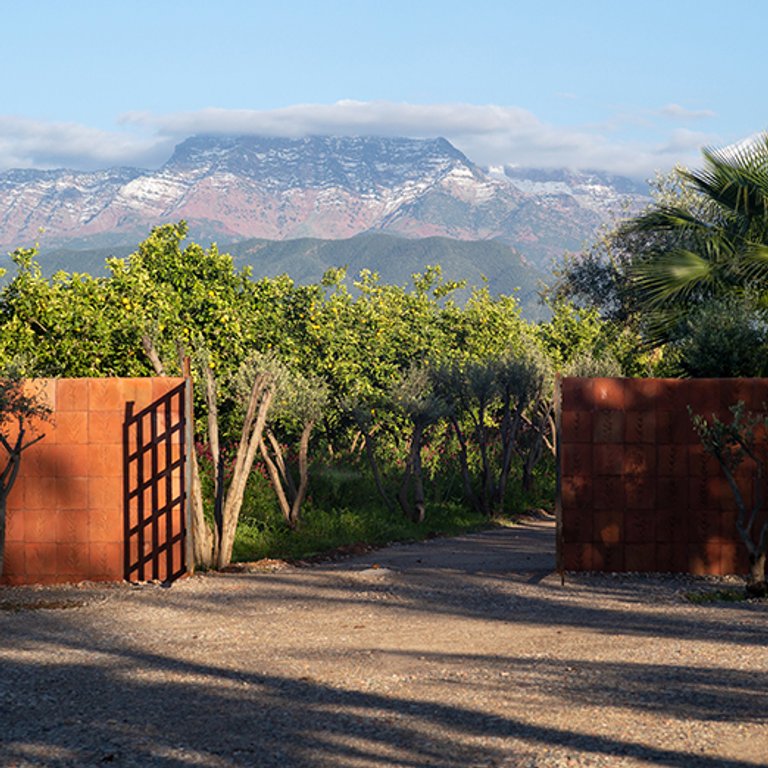 Ysl loreal group Clearance