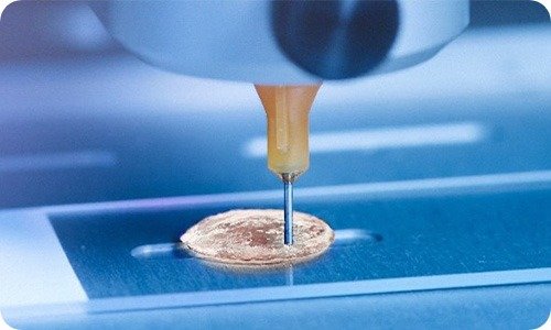 SCIENTIFIC TERRITORIES 1