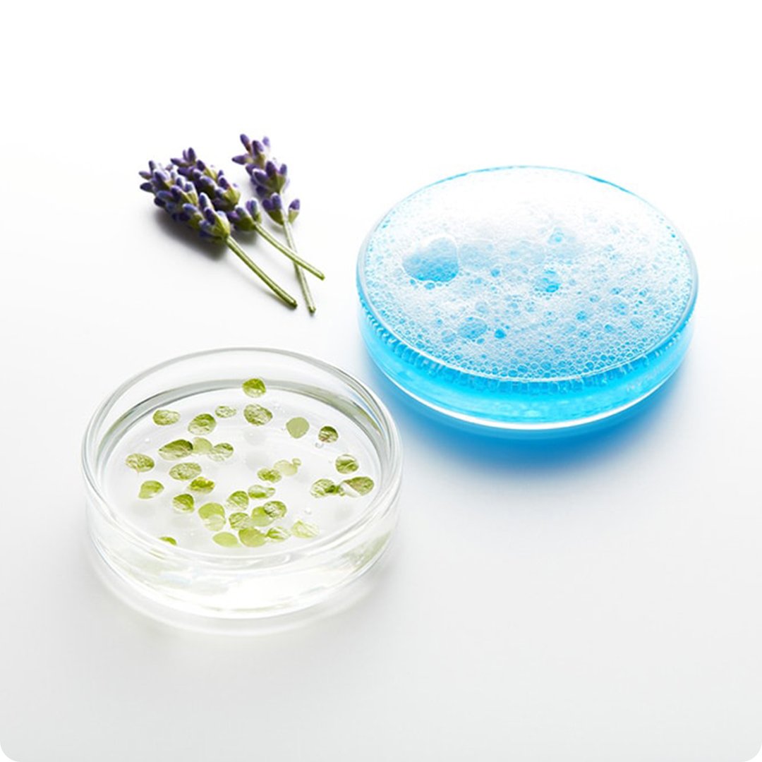 2026 Green Sciences Images with Scientific objects  ingredients