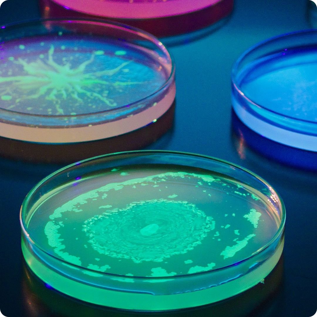 2026 sustainable innovations publications