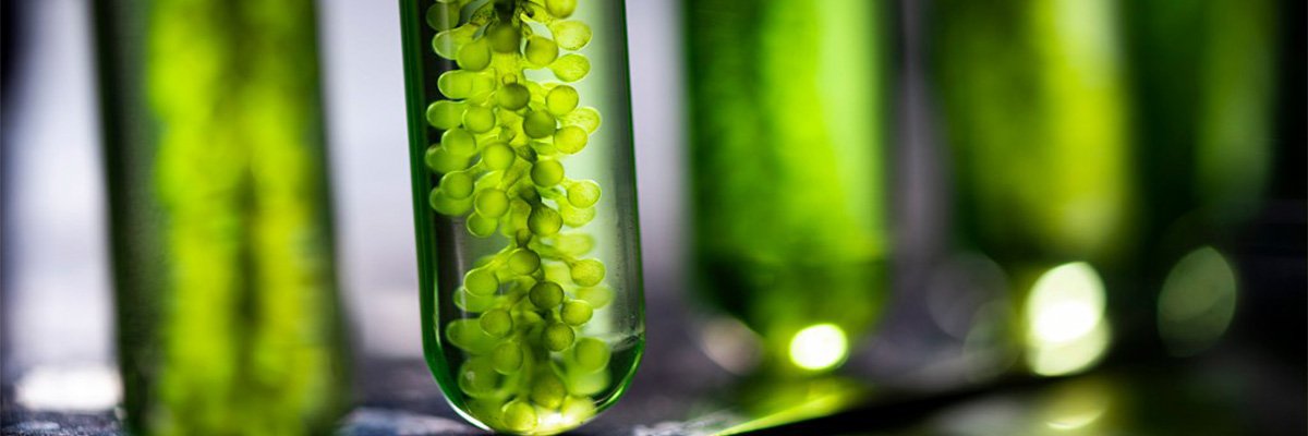 SUSTAINABLE IFSCC