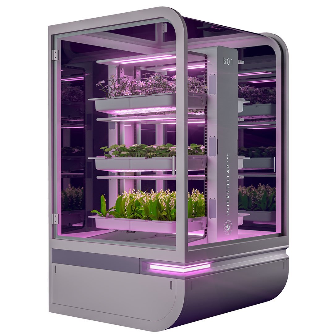 Vertical Farming