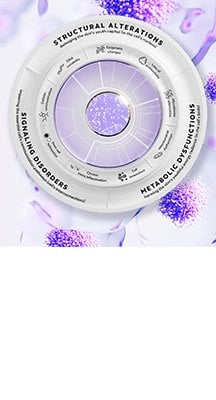 wheel of longevity