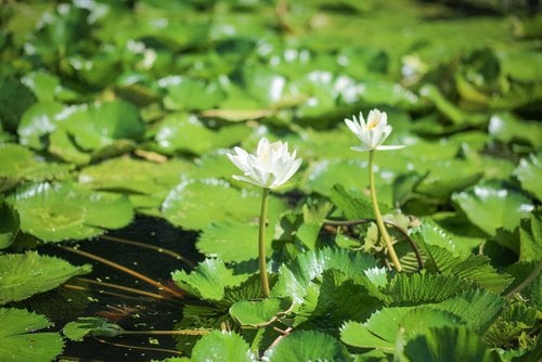 20230302093825IMG0945EasyResizecom