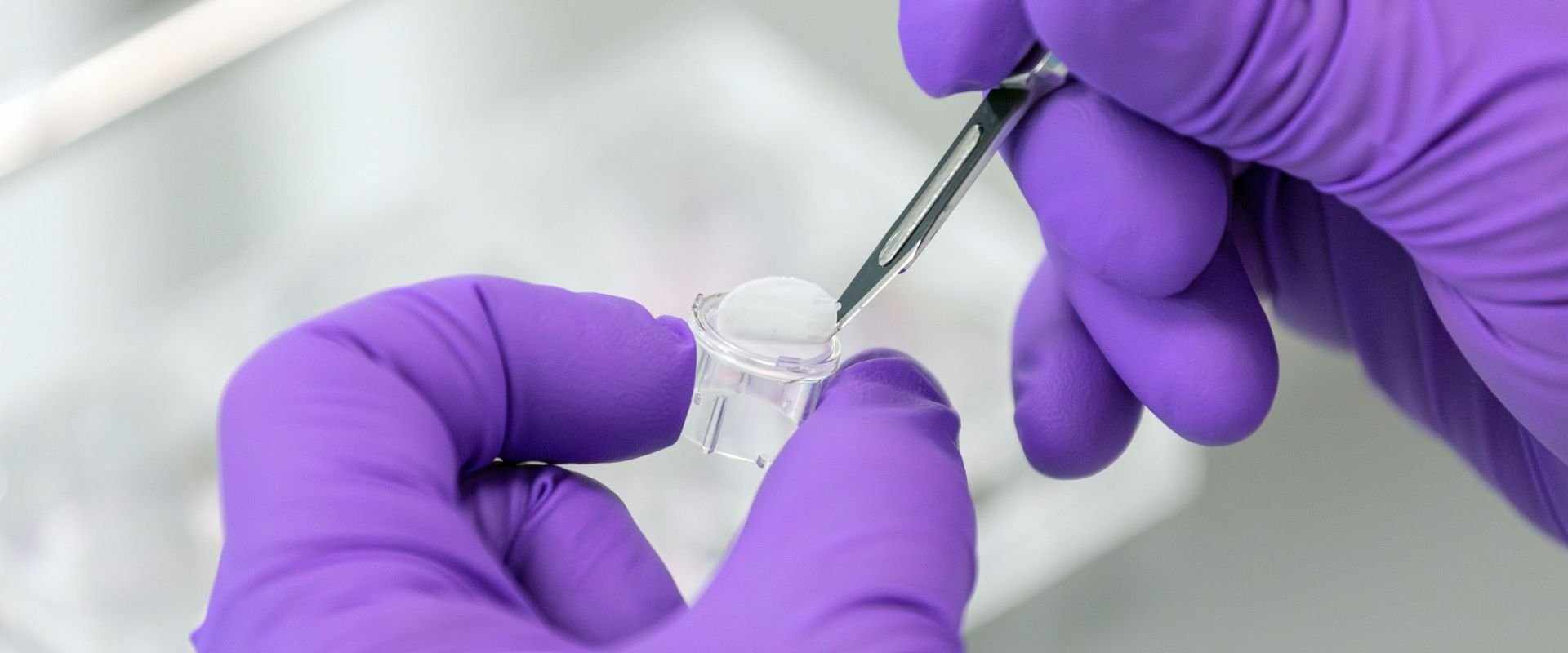 Mãos utilizando luvas roxas em laboratório manuseando uma pinça e um recipiente com a tecnologia EPSKIN.