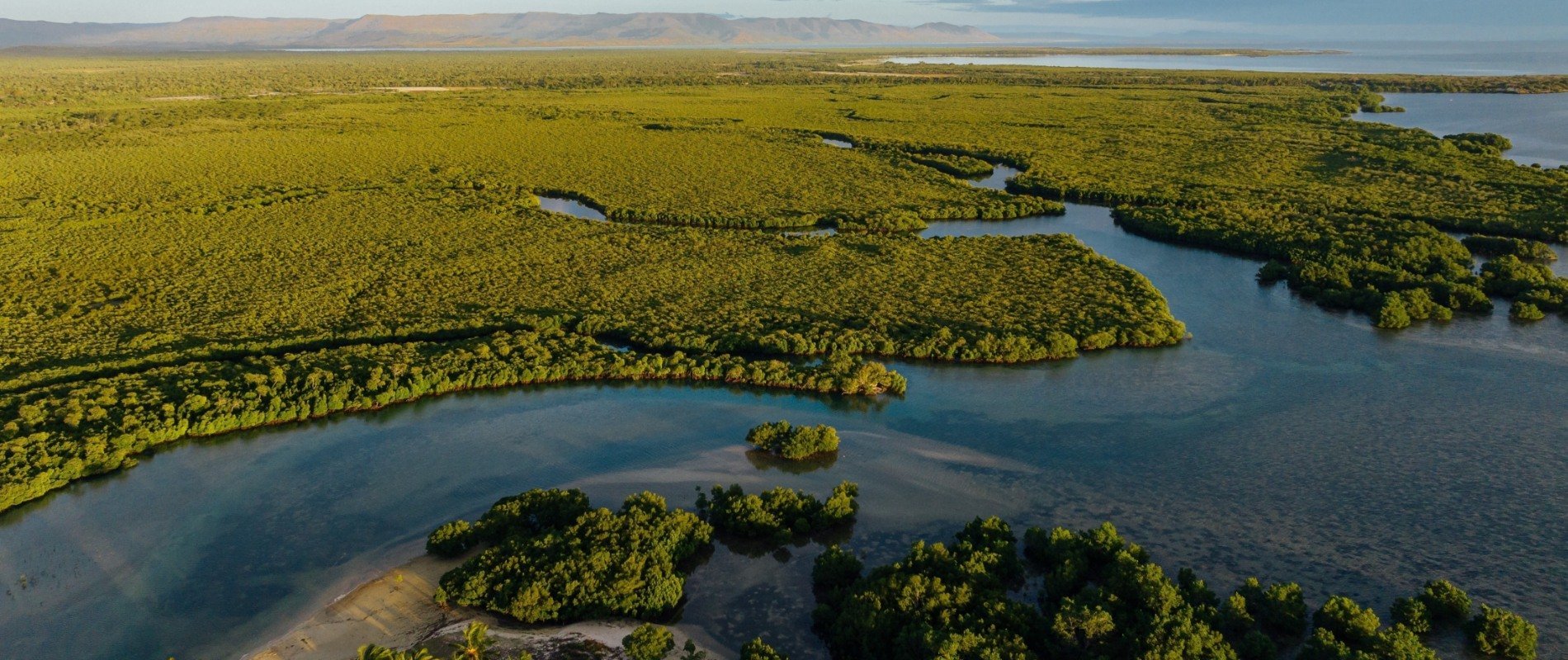 capa artigo L'Oréal Groupe na cop30