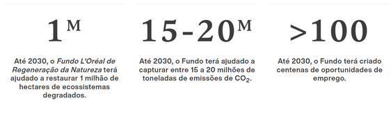 Por um futuro da beleza mais responsável 