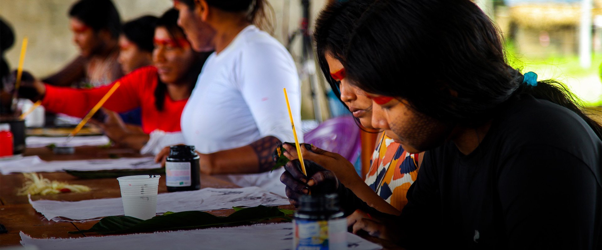banner mulheres kayapo