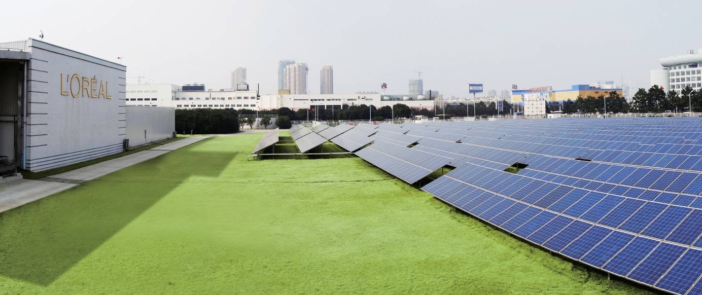50031Loreal Plant Solar panels
