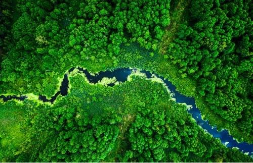 planet pic