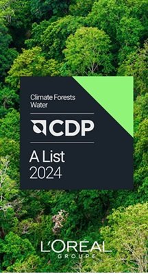 CDP Static Bannerarticle card