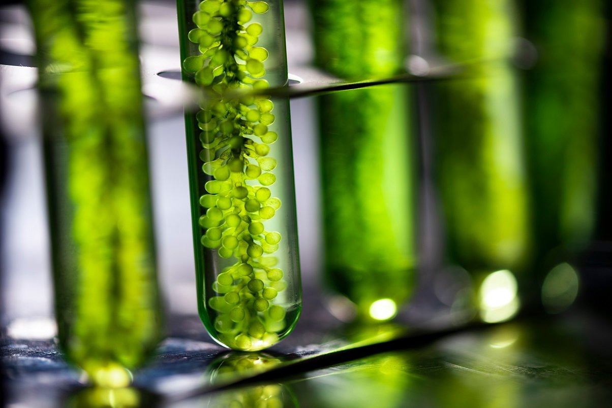 photogreen sciencesweb