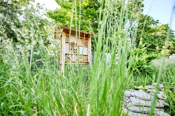 Ein angelegtes Stück Natur mit Bienenhaus und Teich. Die Bodenbewachsung sieht sehr natürlich und angenehm wild aus