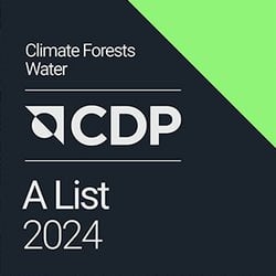 CDP 2024 Logo