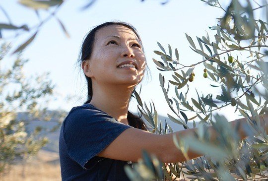 L’Oréal Climate Emergency Fund