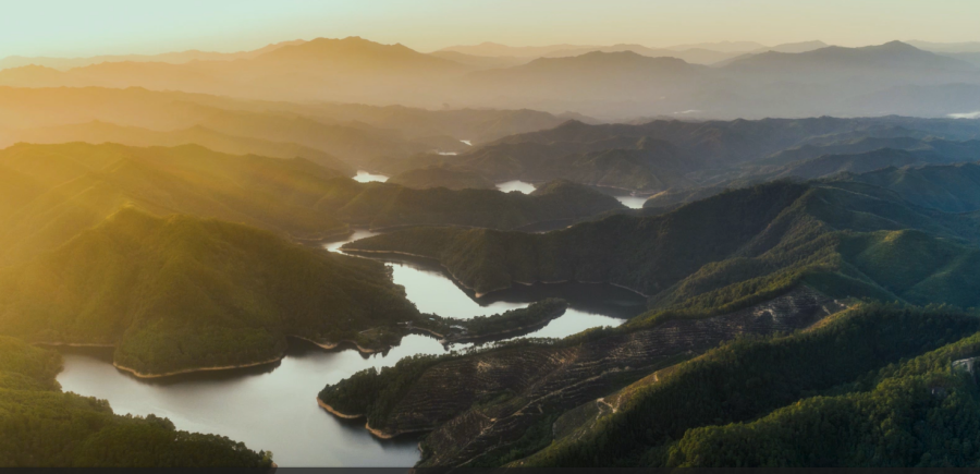 L'Oréal Fund For Nature Regeneration_Titelbild
