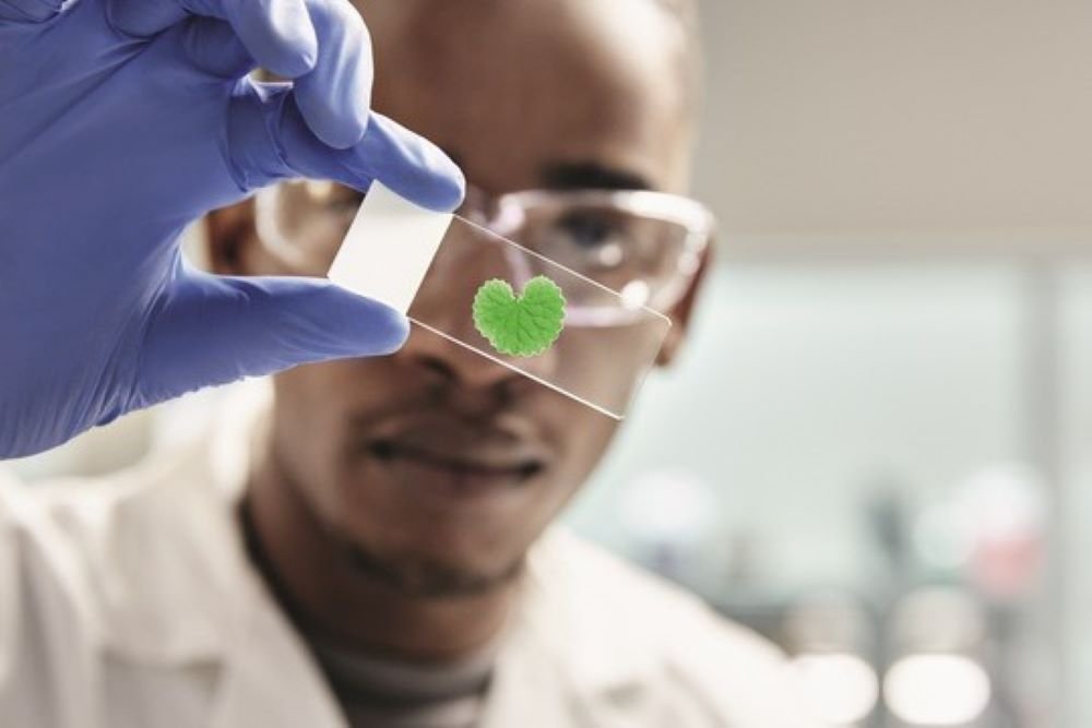 Loreal investiert in Biotech-Unternehmen_Titel