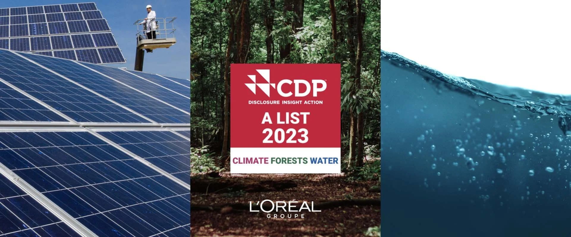 CDP 2023