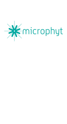Microphy card