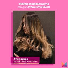 Inovasi Pewarnaan Rambut dengan Matrix Multi-Melt