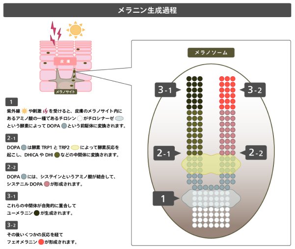 20240723 image01
