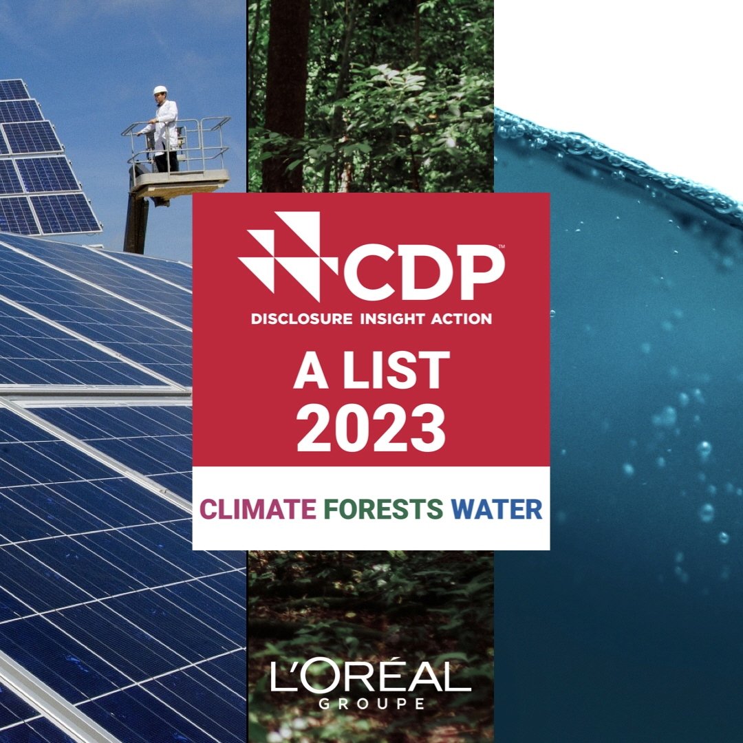 CDP 2024