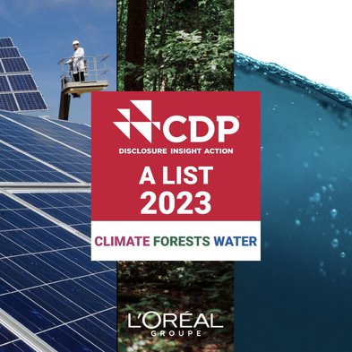 CDP 2024