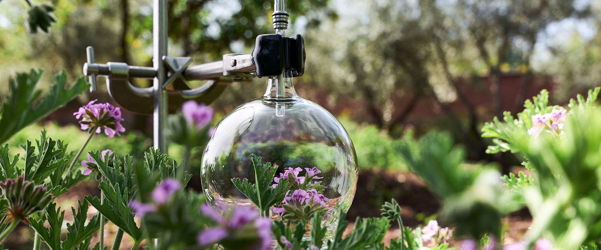 2025 L4TF Driving Safeguarding Nature Hero