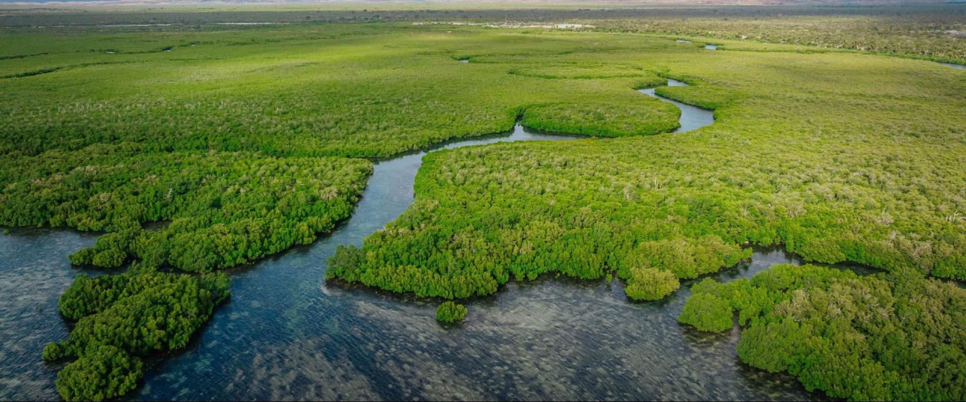 2024 celebraodiamundialdoambiente hero opt 1