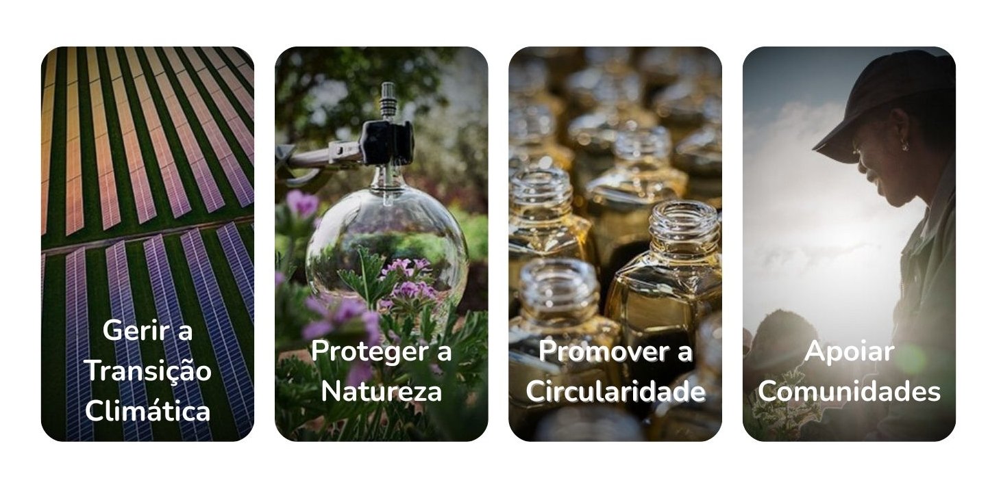 cards loreal 2025 portugal