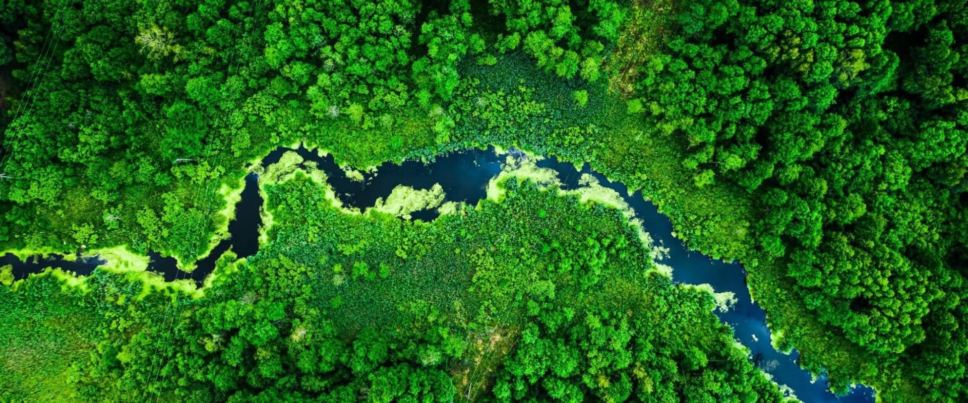 2024 sustentabilidadeimpactopositivo2023 hero opt 1