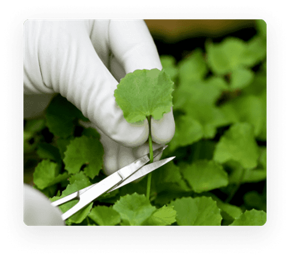 cuidamosoambienteselecaoingredienteseprodutos2