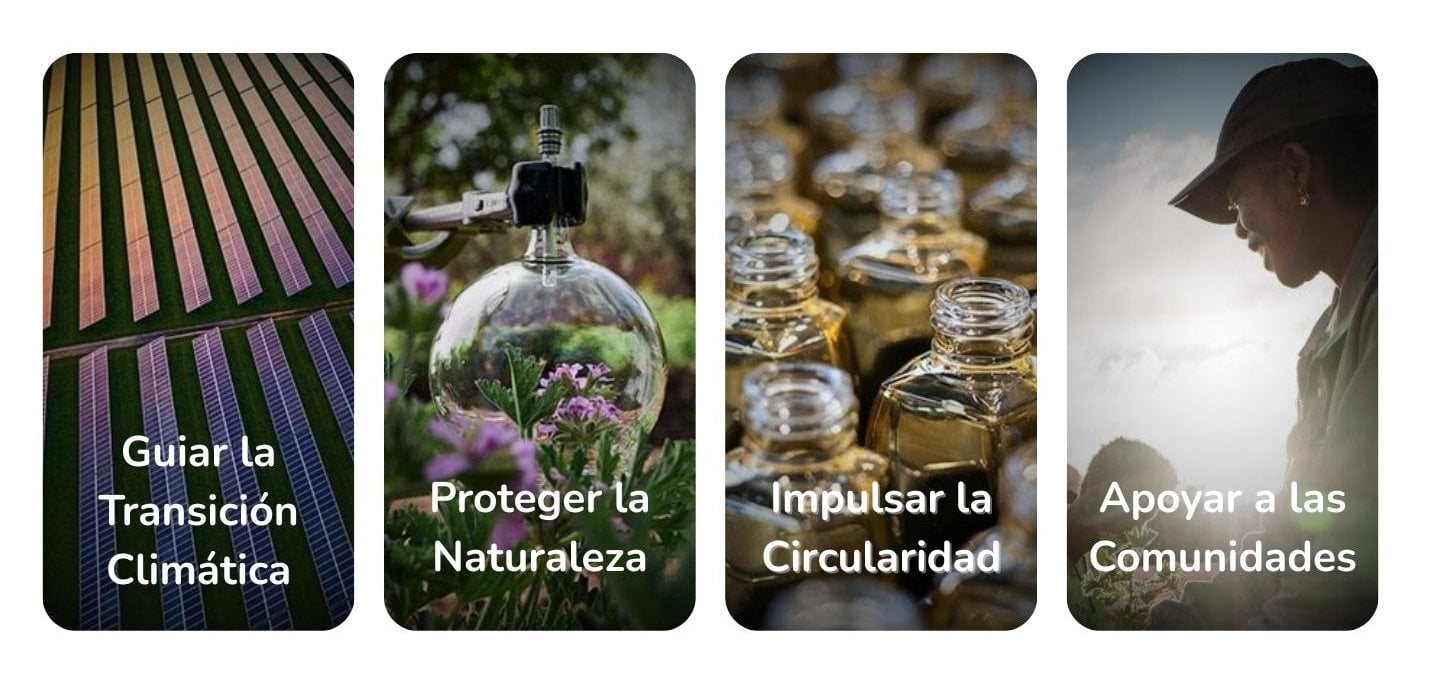 cardsloreall4tfespana 1