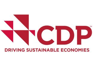 CDP 2024 def