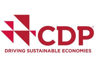 CDP 2024 def
