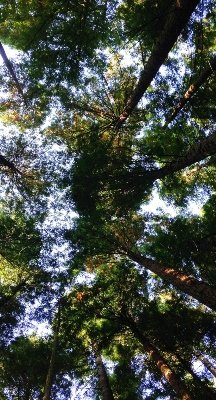 loreal transforma emisiones carbono en envases Card 2023