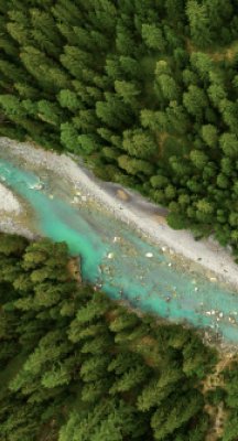 L Oreal Espana L Oreal Espana