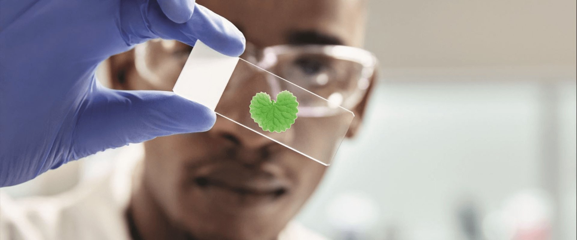 Biotecnologica hero