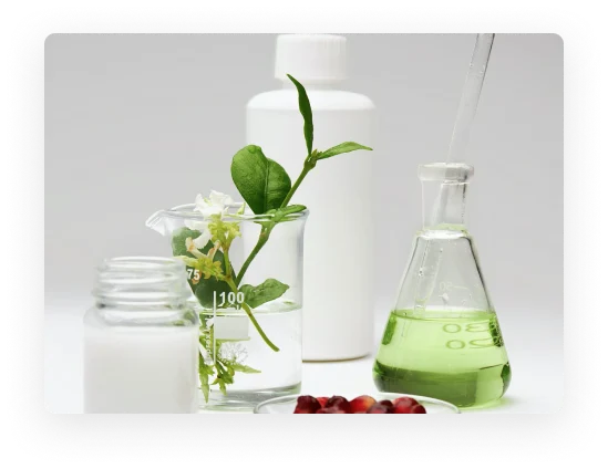 Beauty Tech
