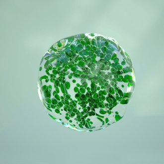 Green Science